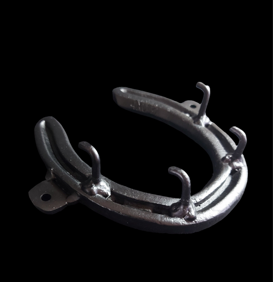 Horseshoe key hook