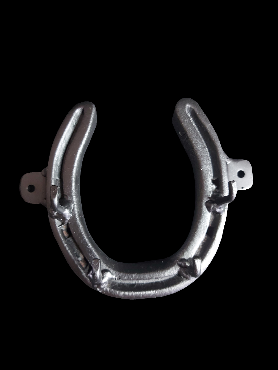 Horseshoe key hook