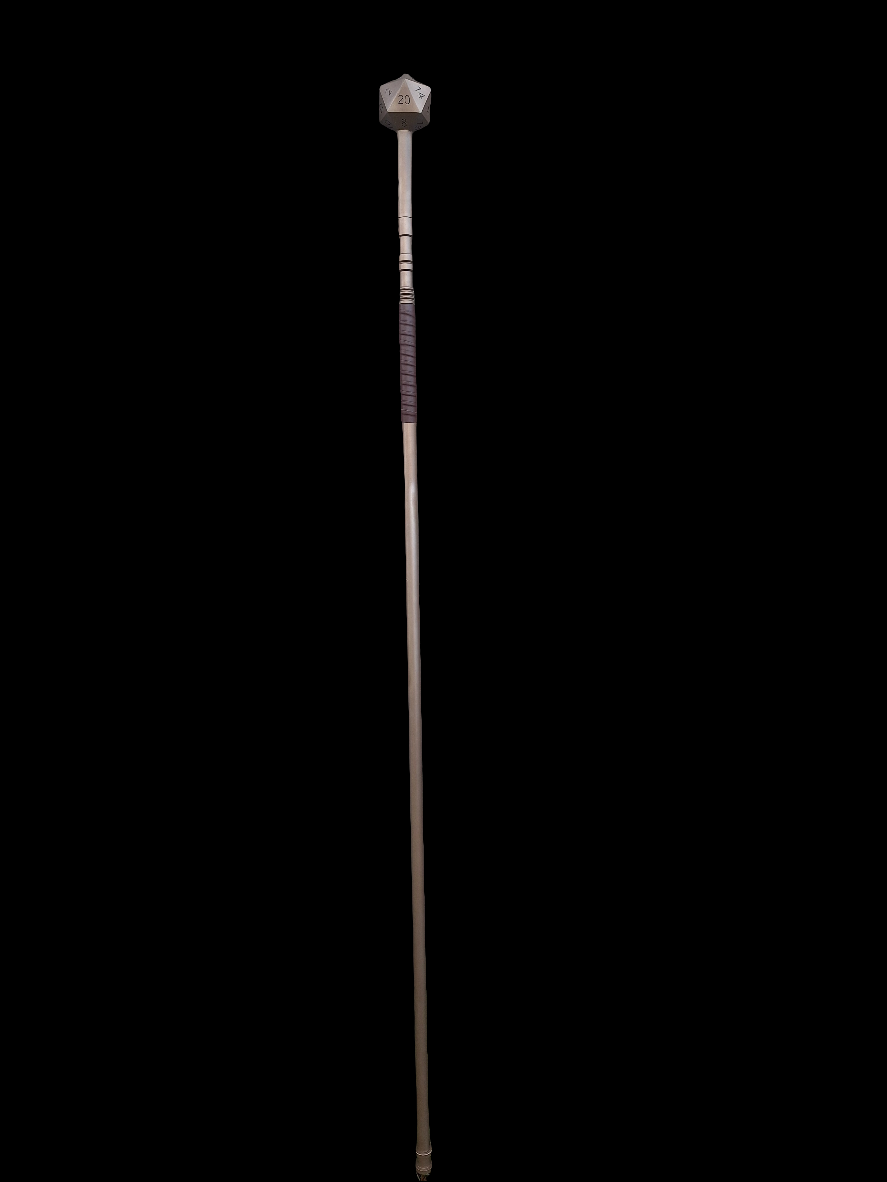 D20 Staff