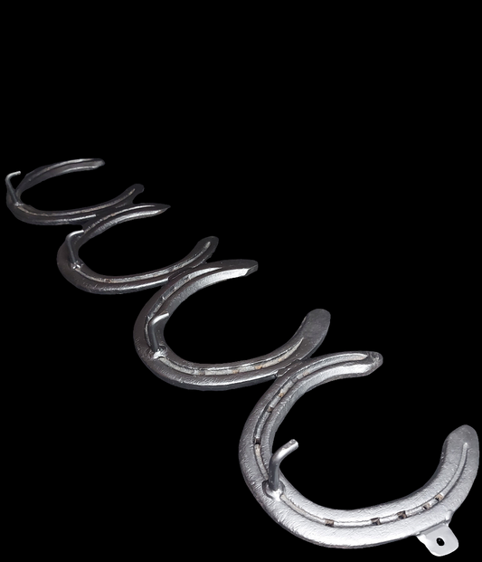 4 Shoe coat hook