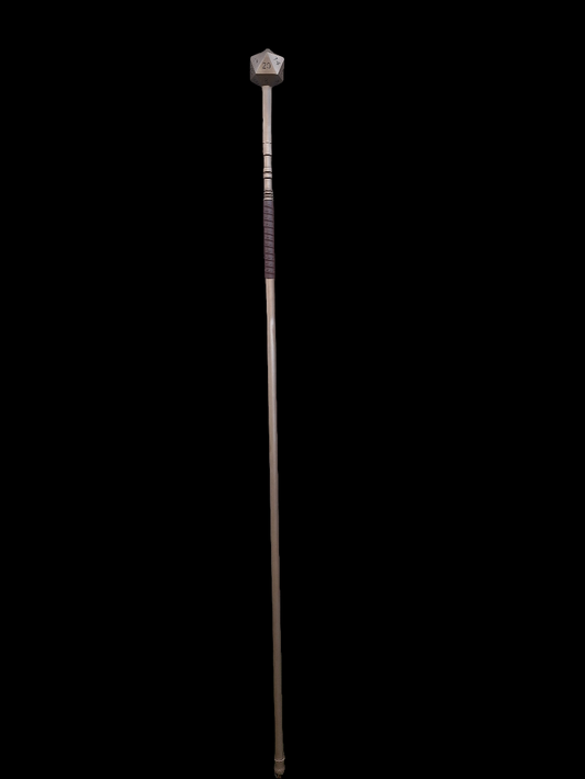 D20 Staff