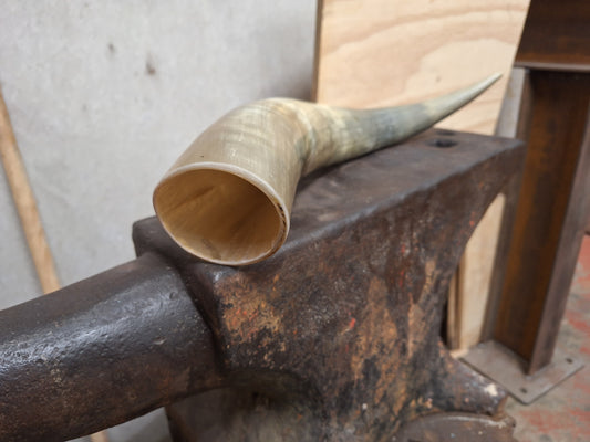 Drinking Horn